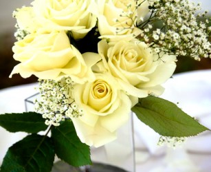 party-rental-elite-events-006